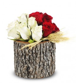 Doğal Ahşap Kütükte Kırmızı Ve Beyaz Güller